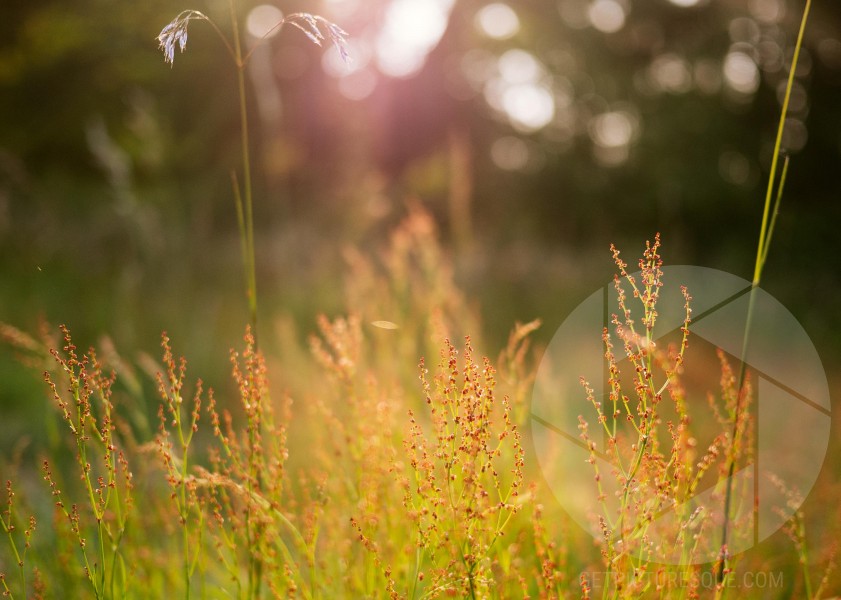 Unsplash IACtzClqfEA
