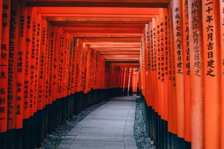 Unsplash NYyCqdBOKwc