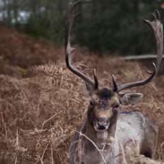 warm