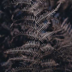cold
