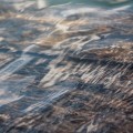 Unsplash asrWX-lU3RE