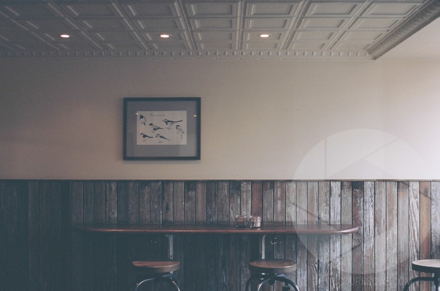 Unsplash LY9GKi4xllY
