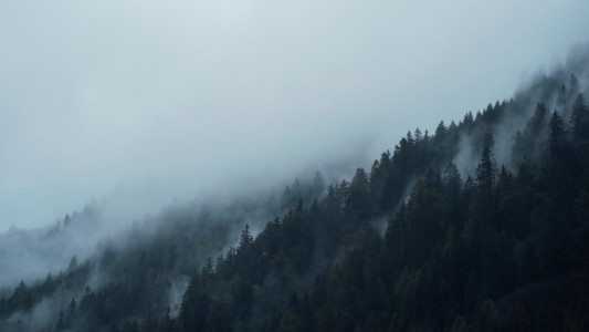Unsplash OZdKEwDXXJU