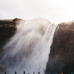 bluegreen