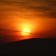 redorange