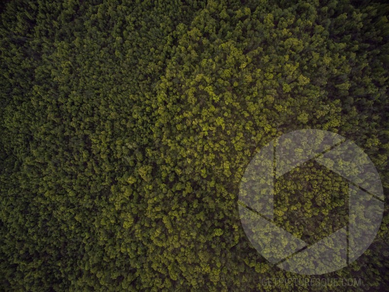 Unsplash jeV-LUEyJoE