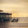 Unsplash TXG9VLN1J9U