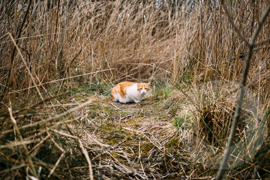 Unsplash 6wEnDzbWQ8Q